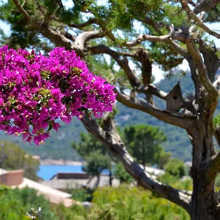 Luxe Domaine De Cala D'oro * 维琪奥港